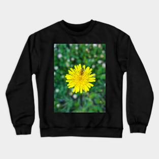 Dandelion Crewneck Sweatshirt